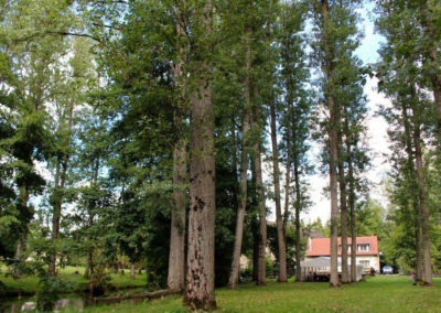 Vacances Chrétiennes : le parc